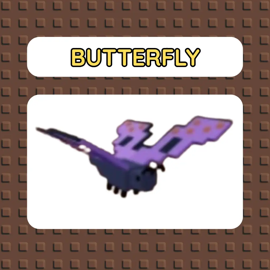 Pet Butterfly