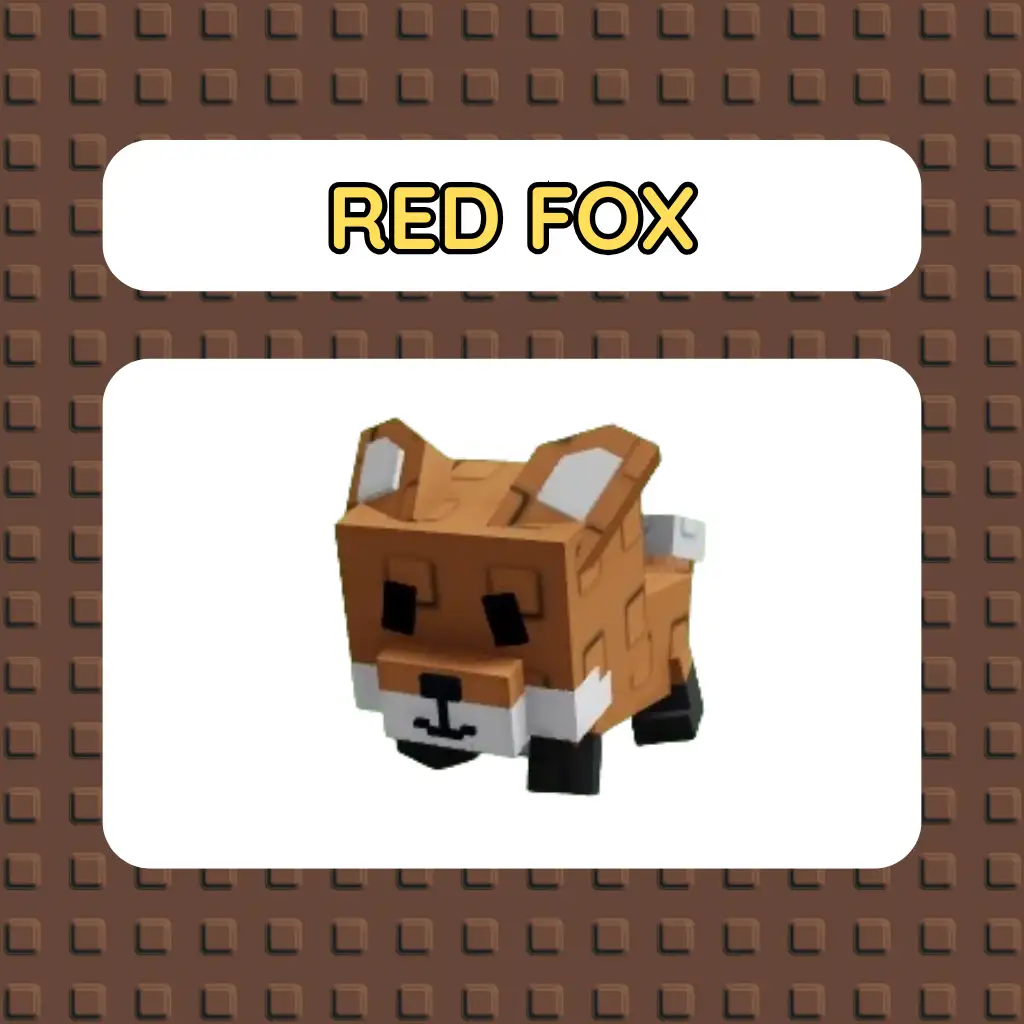 Pet Red Fox