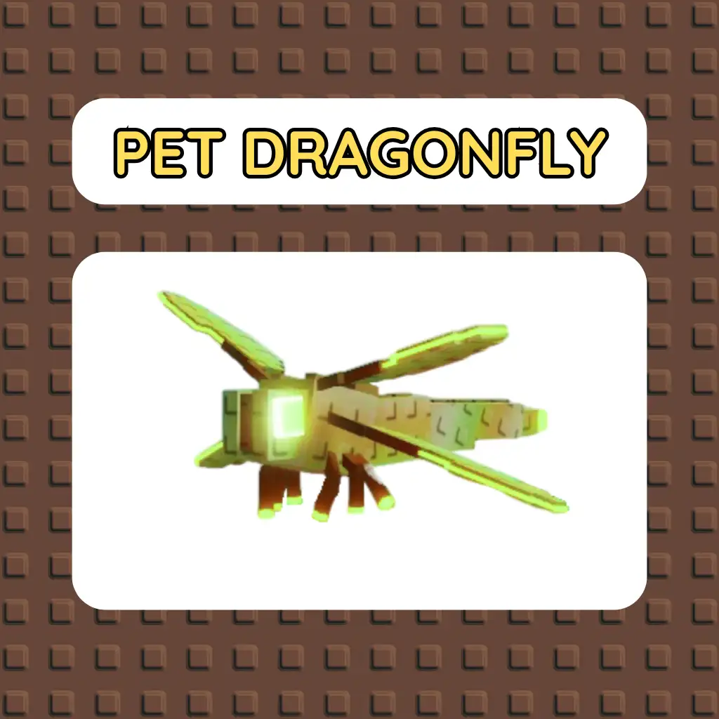 Pet Dragonfly